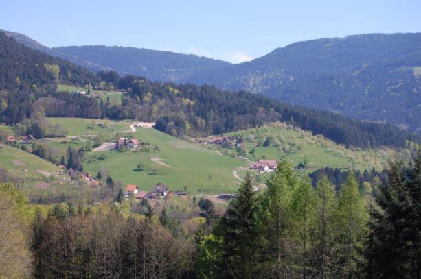 Ferienhof Fischer Seebach Exteriör bild